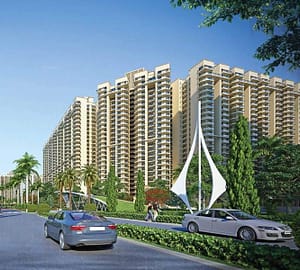 Three C Green Developers